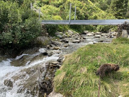 Photo de Koen De Wit le long du parcours