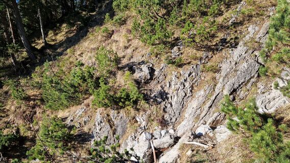 Beginn Latschengasse am Südhang mit einer Rinnenquerung