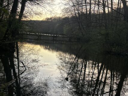 Foto von Reti Alicia entlang der Tour