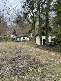 Photo de Christian Pfeiffer le long du parcours