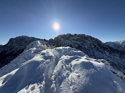 Foto von Natur_erleben_dg entlang der Tour