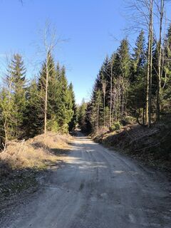 Photo de Ildikó le long du parcours