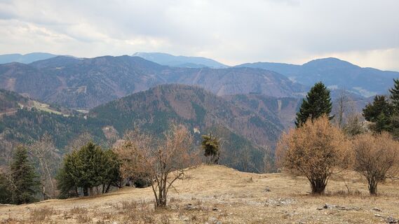 Foto von Juliane Jarke entlang der Tour