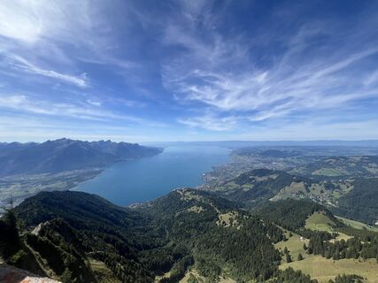 Fotografia z mlocher na trase