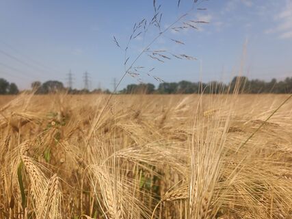 Fotó a Georg Manchen honlapról a túra során