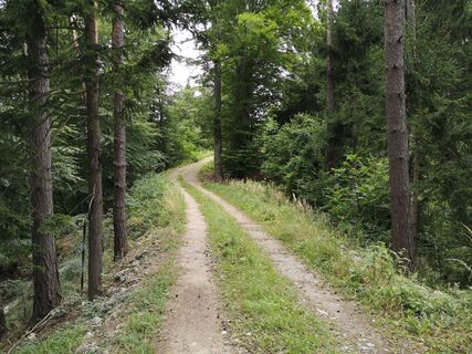 Berg auf