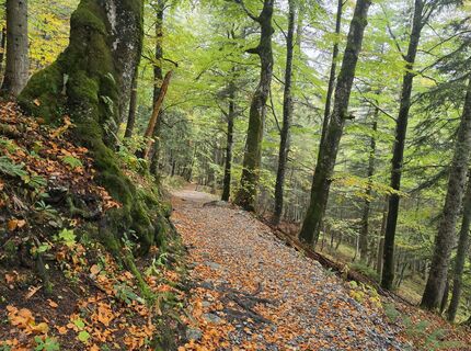 Photo de MRDL le long du parcours