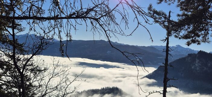 Foto von Ilse Zellan entlang der Tour