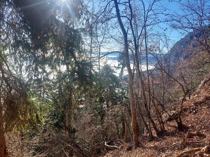 Foto da Karin Svozil lungo il tour