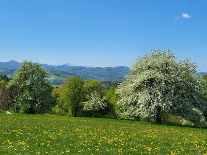 Fotografija s spletne strani BergfexxMaxx na poti