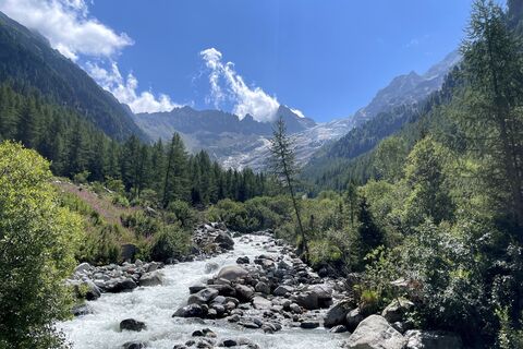 Foto från Gloop under resans gång