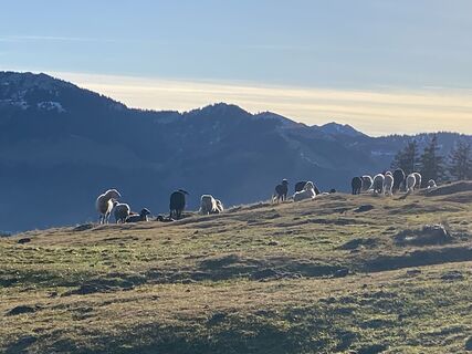 Foto von Sven Krieblin entlang der Tour