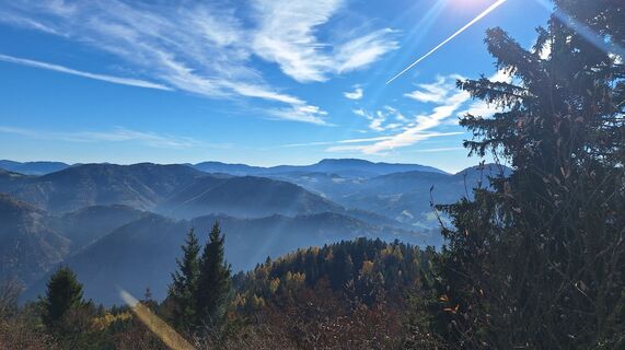 Fotografija s spletne strani Regina Fleischmann na poti