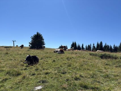 Foto von A Sapper76 entlang der Tour