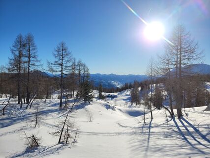 Fotografie de la Juliane Jarke de-a lungul turului