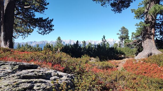 Photo de grassler le long du parcours