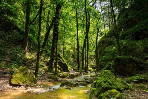 Johannesbachklamm Würflach