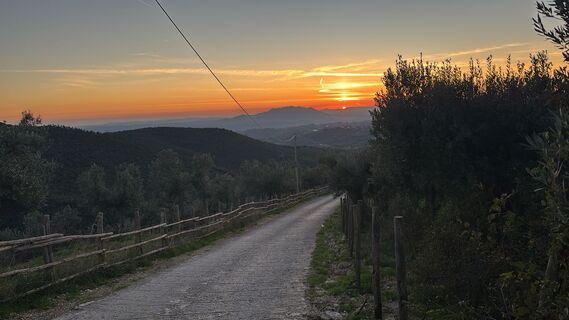 Fotografie z Federico Meliconi na trase