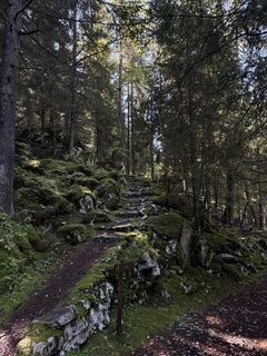 Foto von Kim-LeaWillms entlang der Tour
