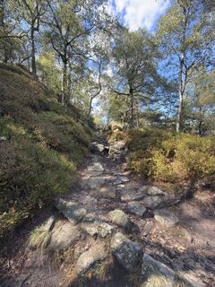 Foto von Steffen Kiesel entlang der Tour