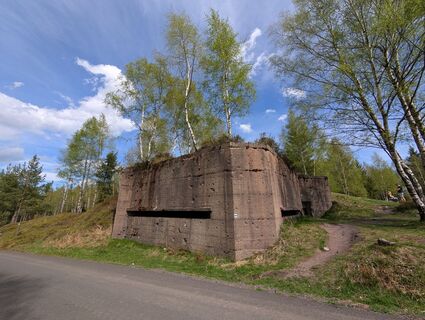 Foto von Floppy 1 entlang der Tour