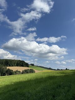 Foto da Holly lungo il tour