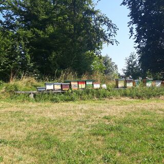 Bienenstöcke