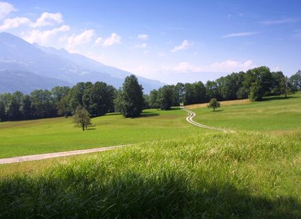 Panoramaweg Triesen