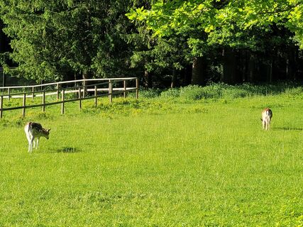 Foto von Susanne Linzbacher entlang der Tour