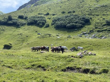 Fotografia z Armin Von Falkenhayn na trase