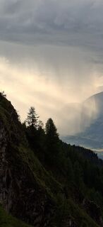 Foto von Mangolein entlang der Tour