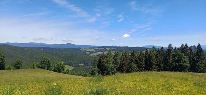 Foto von Thomas Michalek 1 entlang der Tour