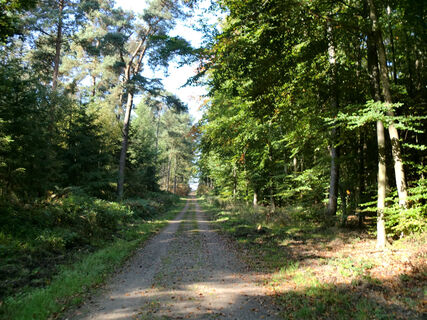 Reichswald