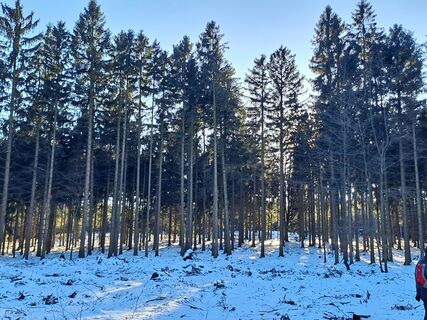 Photo from greinerin along the tour