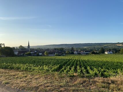 Fotografija s spletne strani Hans van der Meij na poti