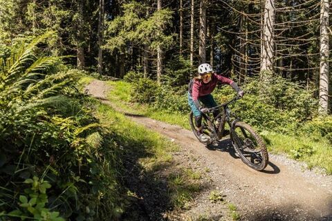 Harschbichl Trails durch den Wald
