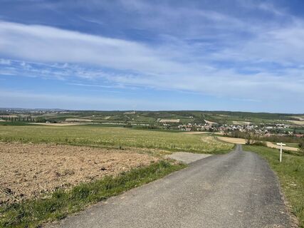 Photo de Hilde Zimmermann le long du parcours