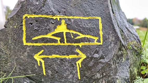 Auf den Spuren der Vulkane