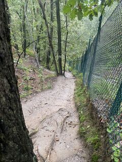 Photo de Pauline Pietsch le long du parcours