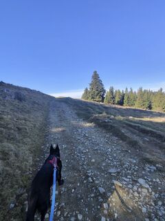 Photo de Nessi129 le long du parcours