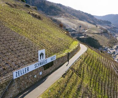 Blick auf die Weinberge bei Zell
