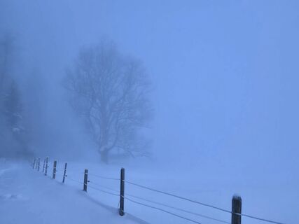 Foto von Brenda Kroesbergen entlang der Tour