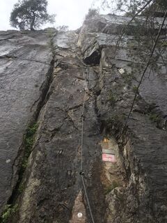 Photo de Heikoala le long du parcours