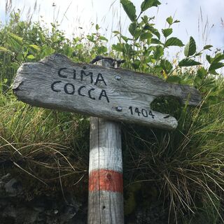 Cima Cocca