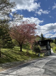 Fotografia z Hermann Czerweny na trase