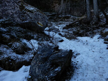 Schneebergdörfl - Hochschneeberg