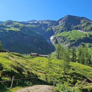 Blick von der Trauneralm auf Berggipfel