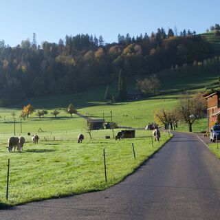 Weg Thanbode - Gibelegg Rundtour