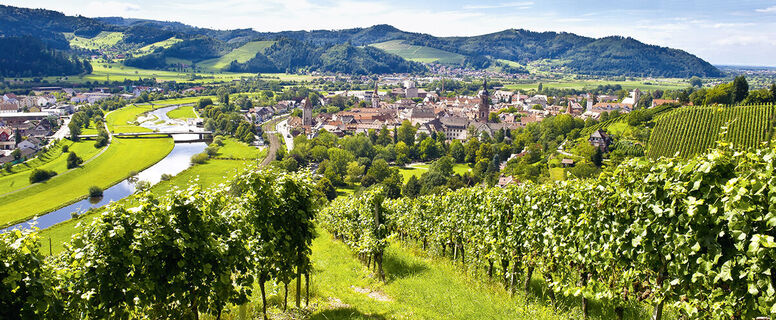 Ausblick auf Gengenbach