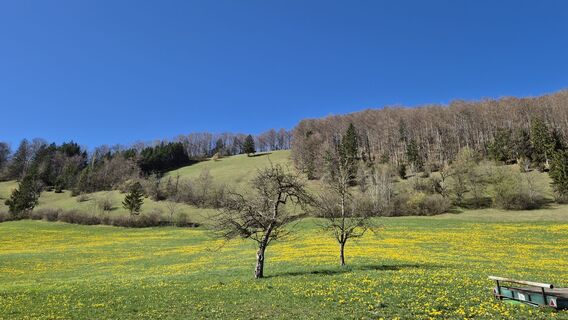 Foto von Roland Hoeller entlang der Tour